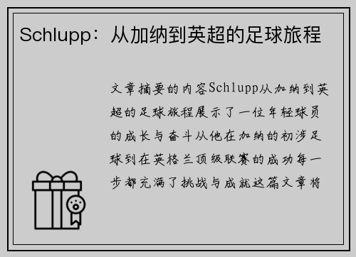 Schlupp：从加纳到英超的足球旅程